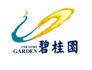 广州碧桂园地产